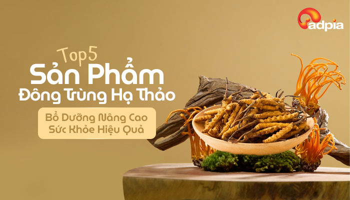 Top 5 Sản Phẩm Đông Trùng Hạ Thảo Bổ Dưỡng Nâng Cao Sức Khỏe Hiệu Quả